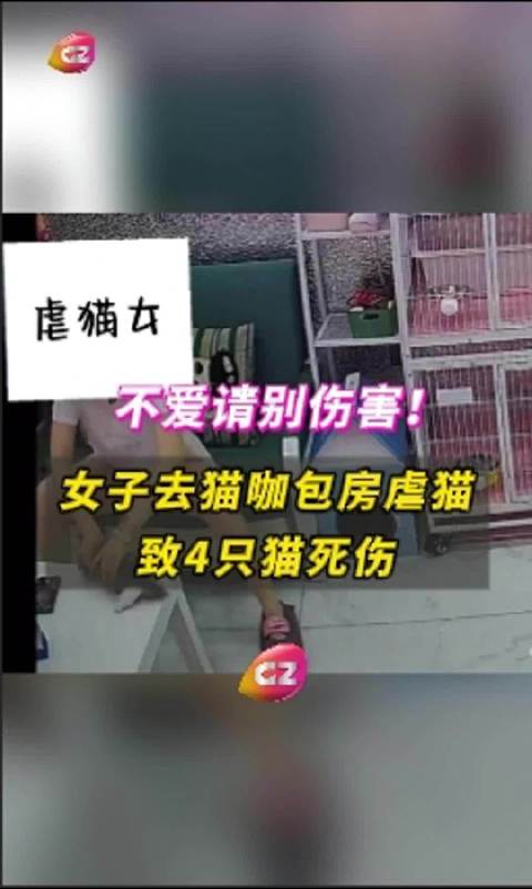 游戏专题 第85页