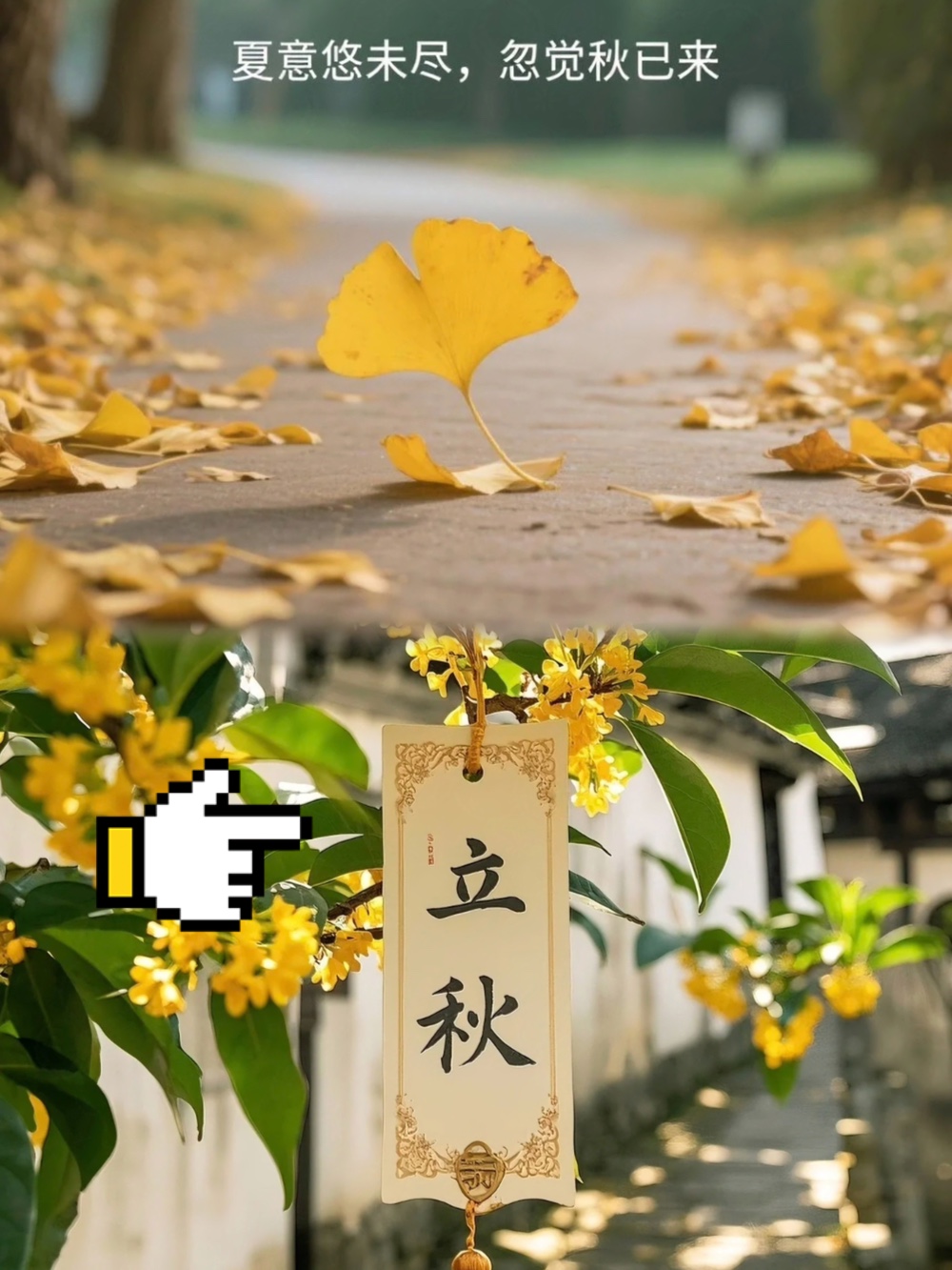 娱乐生活 第82页