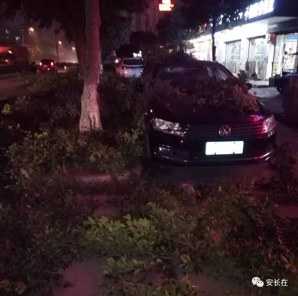 热点生活 第54页