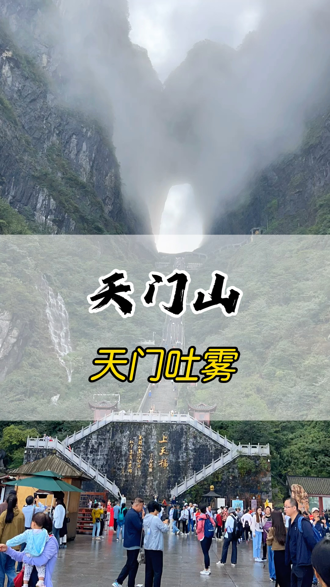 最新资讯 第52页