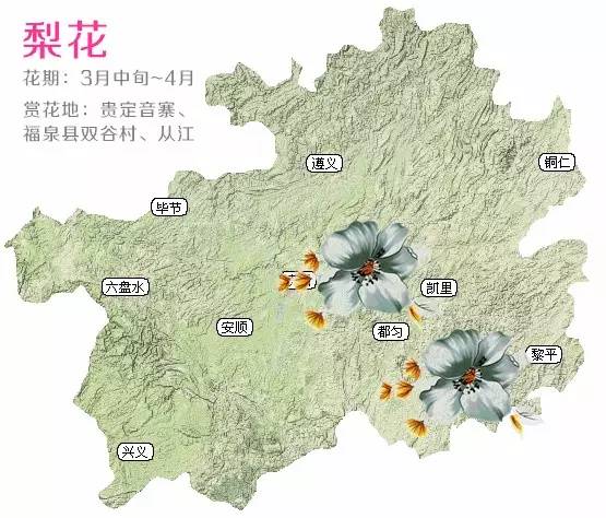 第307页
